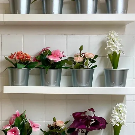 Petrarca Deluxe Lejlighed Padova